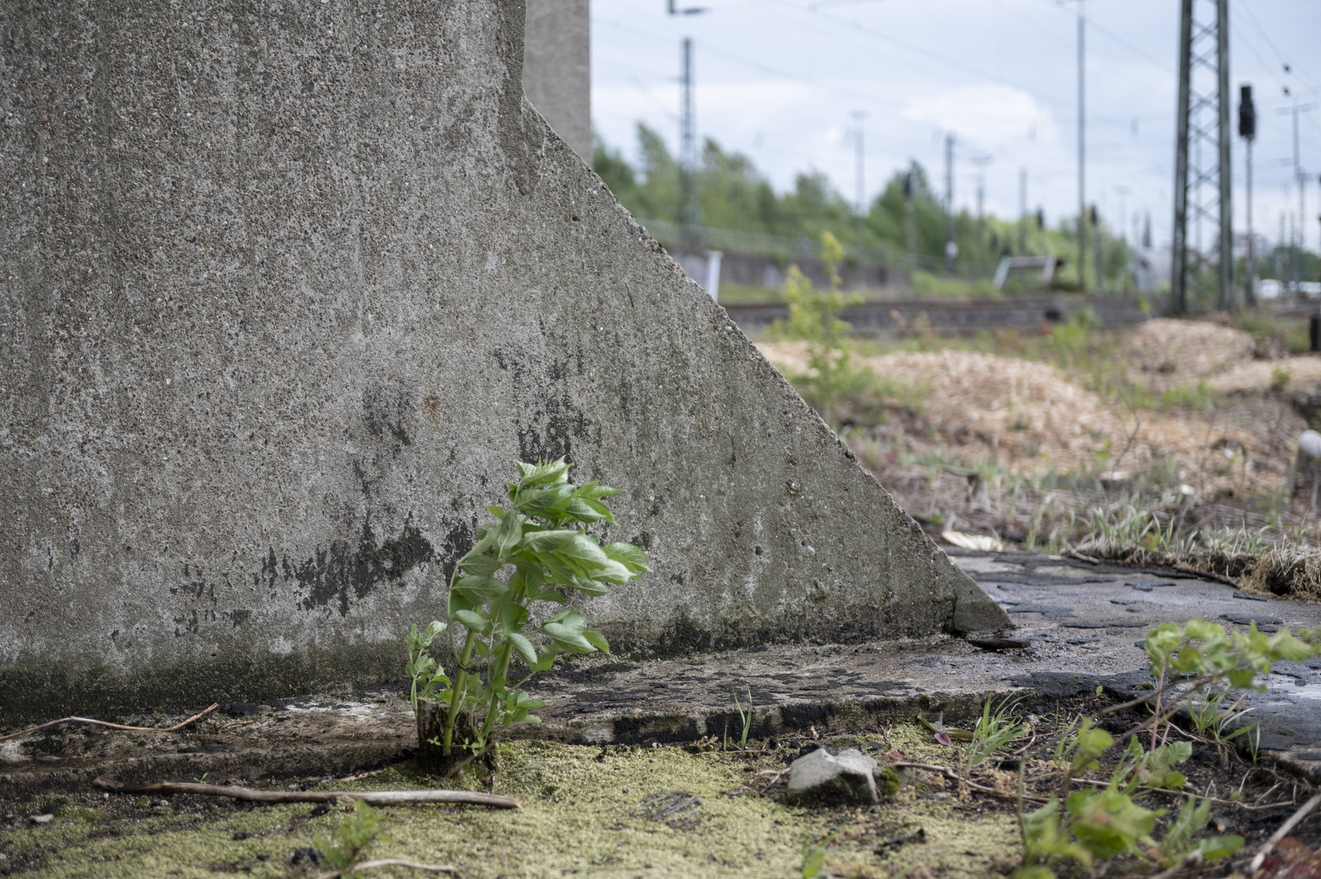 Denkmal des Monats // Der Bahnwasserturm in Altona DA. Eine Plattform